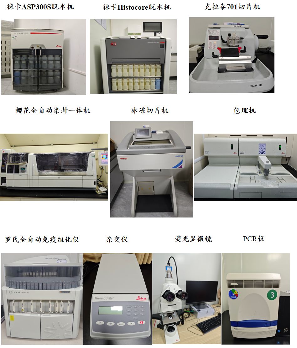 3ba50d02-80e6-4285-b529-d9242805c824_副本.jpg 3ba50d02-80e6-4285-b529-d9242805c824_副本.jpg