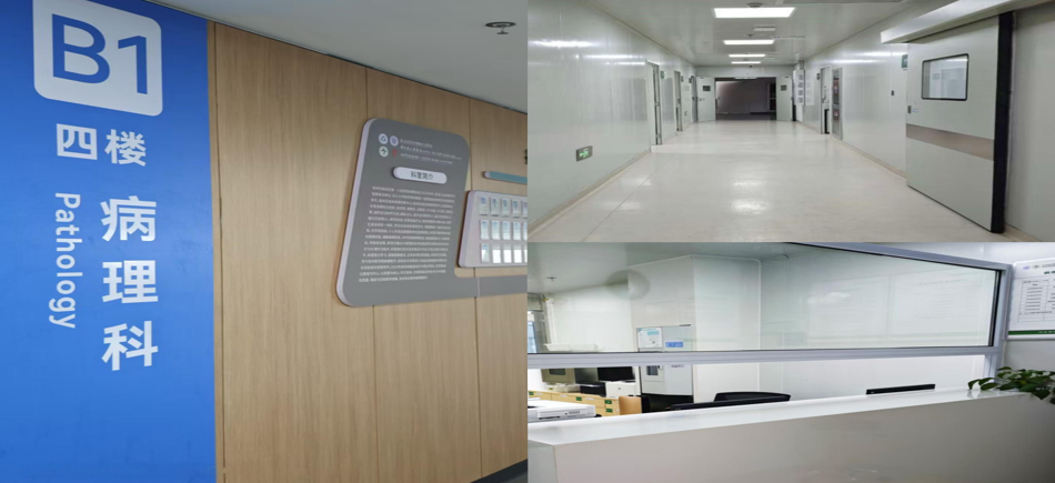 38d0d877-a9c1-409c-b827-80d541f0fd5a.png 38d0d877-a9c1-409c-b827-80d541f0fd5a.png